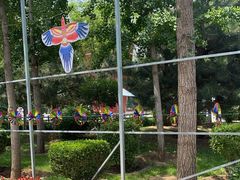 -南宫五洲植物乐园