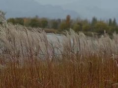 -野鸭湖国家湿地公园