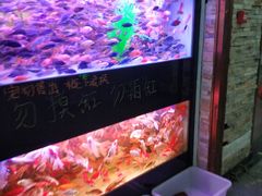 -中环花鸟鱼虫市场