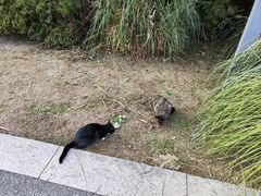 -同里国家湿地公园