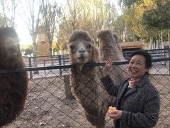 -长白岛森林公园