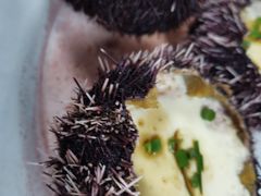 海胆蒸蛋-四川小胡子海鲜(丁村万人海鲜广场店)