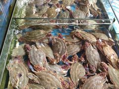 -江杨农产品批发市场