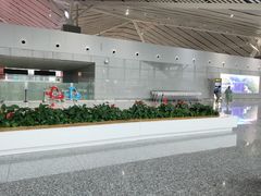 -张家界荷花国际机场航站楼-国内出发