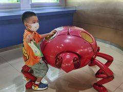 -上海昆虫博物馆