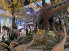 -湖南省地质博物馆