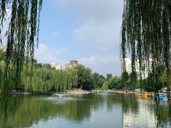 -莲湖公园