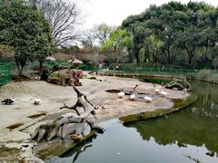 -红梅公园