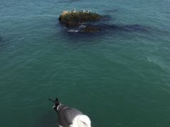 -海驴岛(荣成市)