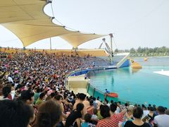 -秦皇岛乐岛海洋王国