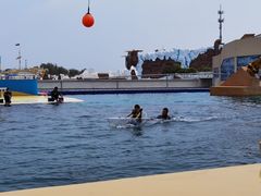 -秦皇岛乐岛海洋王国