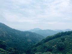 -西湖风景区十里琅珰-五云山