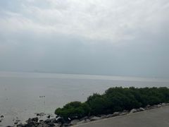 -深圳湾公园(南山区)