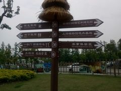 -上海长兴岛郊野公园