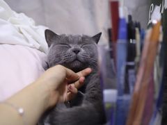 -佳能相机·普晶官方店(成都华凌西南婚纱摄影器材城店)