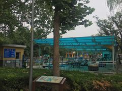 -朝阳公园游乐园