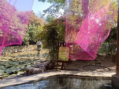 -观唐（国际）度假村温泉