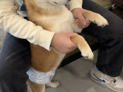 -共舞时光猫咖·狗咖(新街口店)