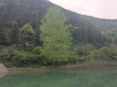 -苏州环秀晓筑养生度假村
