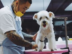 -FAELING PETS美天灵宠物(富力广场店)