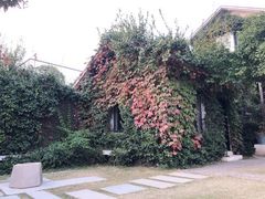 -梨云山居农家乐