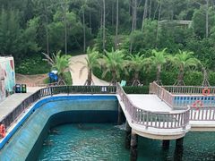 -广东惠东海龟国家级自然保护区