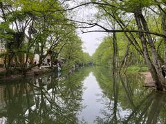 -汪记土菜(岩寺店)