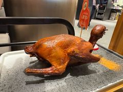 -羽鸽集·乳鸽专门店·地道顺德菜(岭南站店)