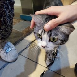 -长沙纹身· 龙堂刺青·三土师傅的店