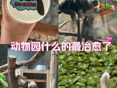 -红山森林动物园
