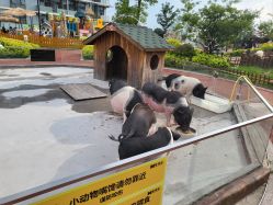 -造物庄园 萌宠纪(苏州湾歌林公园店)