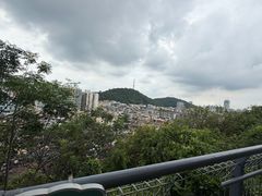 -佛山华盖山公园