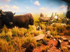 -陕西自然博物馆