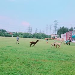-蓝可可亲子乐园(北苑店)