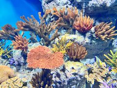 -福州罗源湾海洋世界旅游区