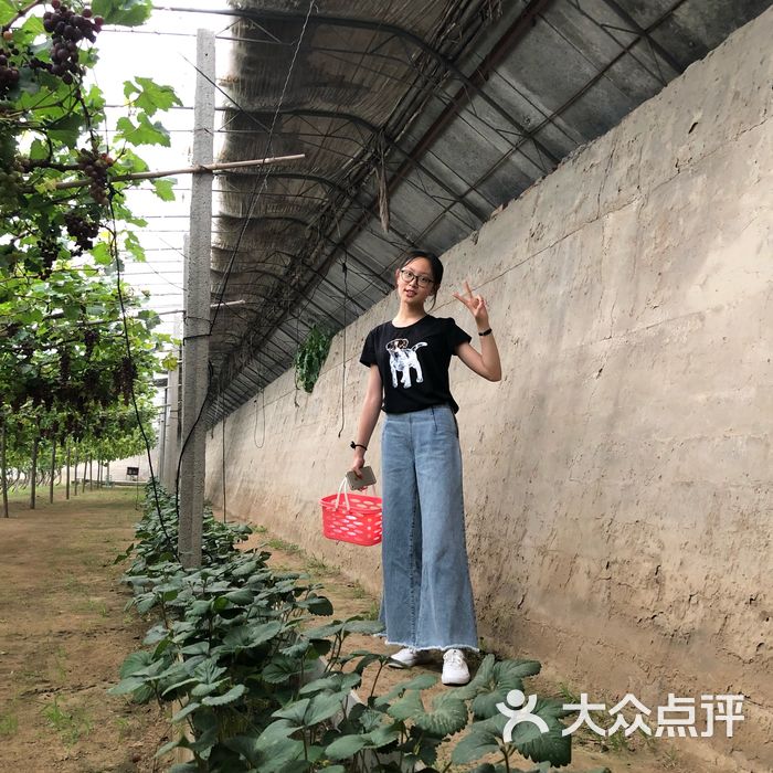 绿禾都示食用菌专业合作社图片-北京采摘/农家乐-大众点评网