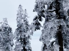 -瓦屋山景区