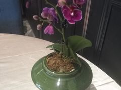 -聚福宝合苑食府(南头镇店)