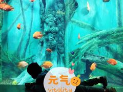 -武汉园博园(武汉自然博物馆)