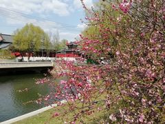 -奉天祥和锅烙铺(滂江街店)