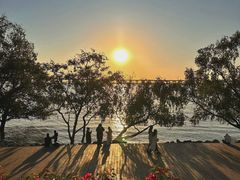 -宝安西湾红树林湿地公园