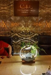 -青岛香格里拉·氣水疗中心