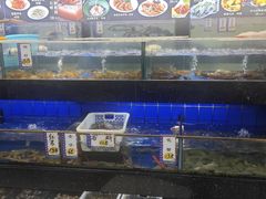 -轩记海鲜餐厅·四十五年老字号·经典粤菜(西区彩虹店)