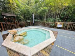 -天目湖涵田半山温泉