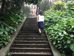-中山大学学者灵芝(园南路店)