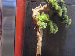 -见康道莱•足浴按摩•艾灸•SPA(友谊店)