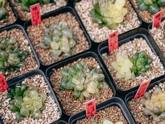 -瑞虹新天地月亮湾