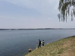 -丁香湖公园