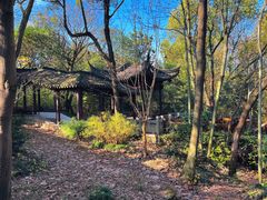 -上海佘山国家森林公园天马山园