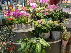 -Olé精品超市(上海虹桥南丰城店)